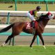 「複永祐一」「池添謙二」に改名の声も!? 春G1で3回「ツー・スリー」コンビは今週末も続く!?