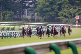 JRA新PATが「パッとしない」と酷評の嵐!? リニューアル早々「大混乱」で凱旋門賞（G1）の馬券を買えなかったファン続出……