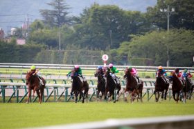 【北九州記念（G3）展望】サマースプリントシリーズ第4戦！シリーズ優勝へ名乗りを上げるのはどの馬か？
