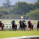 JRAは蚊帳の外……的場文男7152勝でも世界9位。ブラジルのレジェンドは1万2845勝とまさに異次元!世界のトップジョッキー達が凄すぎる!