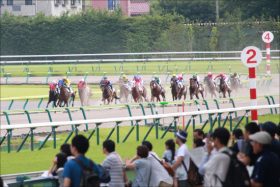 【シリウスS（G3）展望】ダート路線での飛躍を目指す！暮れのチャンピオンズC（G1）に名乗りを上げるのは！？