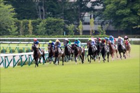 JRA「古参馬主」が札幌記念を席巻！ 「サクラ」「ナリタ」伝統の一撃が炸裂