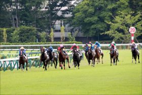 JRA「マイネル軍団」の危機を藤田菜七子が救う!? 「奇跡の復帰」元マイネル主戦のアノ騎手も虎視眈々か……