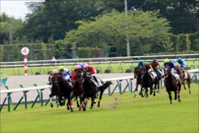 雷神モレイラ騎乗馬のレベルが……衝撃撒き散らすも、意外と日本での「勝利」なし？