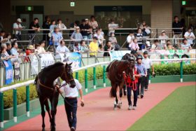 世界的名馬の血を引くタワーオブロンドンがOP戦出走へ！ 欧州名門の血統は覚醒するのか？