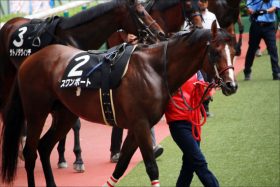 JRAの「隠匿」？ シンザン、ハイセイコー、オグリキャップ「競馬の歴史」から”抹消”された往年の銃刀法違反騎手