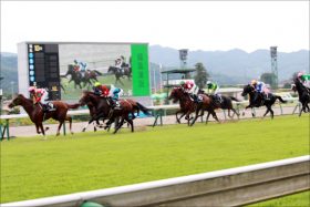 【京都牝馬S（G3）展望】好走馬の活躍が目立つ注目重賞！連勝中のミスパンテールは古馬牝馬戦線の中心となれるのか？