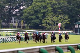 まさかの3週連続＋中1週で出走!? 使われ続けるソンタクの心情を陣営は”忖度”しないのか？