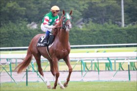 募集額1400万円のアエロリットが大活躍！それに対し8000万円の超良血馬はまさかの……