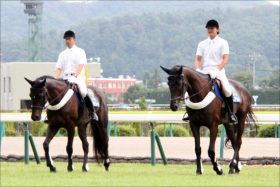 馬にだって「働きたくない日」はある？ レパードS（G3）で”個性派”テイエムアンムートがまさかの「レース放棄」も共感の声が続々！