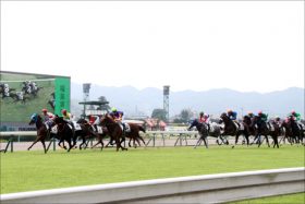 【小倉記念（G3）展望】実力拮抗のハンデ重賞！真夏の小倉で栄光を掴み取るのはどの馬だ？