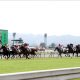 JRA牡馬クラシック「最後の大物」出現!? 「圧巻通り越すパフォーマンス」大絶賛馬がダノンプレミアムに届くか