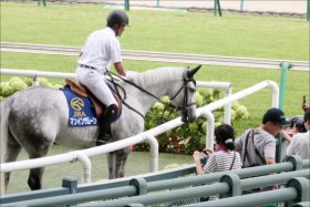 【新潟2歳S（G3）展望】今後の活躍を占う2歳重賞！来年のクラシックへつながる注目の1戦を制するのは？