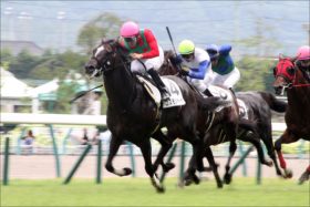 四位洋文騎手が「トラウマ」嘆く……武豊騎手も不快感を露にした昨年「マイルCS」ディサイファの悲劇