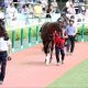 J.モレイラ「JRA騎手試験」で競馬界「一大変革」!? すでに影響力大も、問題は「二次試験」か