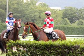 2歳「608kg」の巨漢がJRA最高記録を達成！ 規格外の”スケール”を持つハギノグランデが「あと32kg足りない」理由