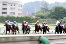 JRAが70年ぶり番組「大変革」を敢行!? 有名血統評論家が19年夏の降級制度廃止に伴い新クラス「2400万下」創設を提言