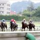 【シリウスS(G3)展望】ダート路線での飛躍を目指す!暮れのチャンピオンズC(G1)に名乗りを上げるのは!?