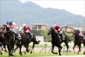 【フェアリーS（G3）展望】経験豊富な1勝馬VS能力未知数の1勝馬！牝馬クラシック戦線を目指す最初の戦いで勝利を勝ち取るのは？