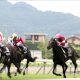 毎日王冠「サイン」は新垣結衣が今年のNHKドラマで”育てた”仔馬で決まり!? 原作者降臨で超人気薄のリアル「リヤン」が感動の復活?