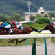モーリスの全弟ルーカスvs超良血馬リシュブール!? 今週の新馬戦が熱い!!