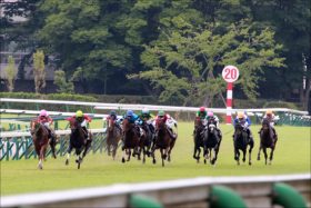 七夕賞「サイン」は柳楽優弥で盤石!? 1986年以来31連敗中……七夕賞で「絶対に買ってはならない馬券」とは