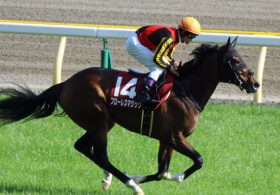 オークスで「THE相手なり」フローレスマジックの取捨は!? 良血馬で人気確実も、「距離限界」に問題が……