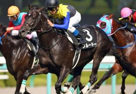 【徹底考察】エプソムC（G3）　フルーキー「驚異の安定感はここでも『堅軸』!? 気になるのは斤量58㎏と鞍上の『気分』か？」