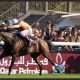 香港の馬券売上が示した明確な「傾向」日本が国際競争を勝ち抜くために待望論があった同日の複数G1開催にファンが示した「答え」とは