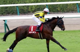【中日新聞杯（G3）展望】JRA「絶好調」3歳世代が今週も活躍？ 実力拮抗のハンデ重賞！