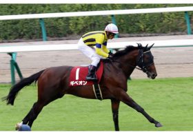 金鯱賞（G2）ギベオン「何故」丸山元気ばかり？ C.ルメール騎乗停止で「マイル王」ステルヴィオに続く”大抜擢”の裏事情