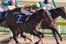 【徹底考察】チャンピオンズC（G1） ゴールドドリーム「3歳の新星が亡きタガノトネールの意志を継ぐ！立ち塞がるはライバルよりも巨大な『データ』の壁」