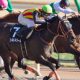 JRANo.1の勝負強さ! 勝ちまくりのM.デムーロ騎手唯一の不安は「ムラ」?