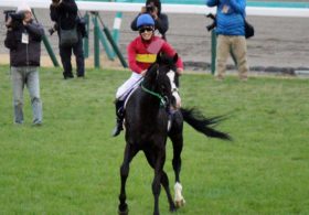 【AJCC（G2）展望】武豊☓ゴールドアクター新コンビが参戦！ 例年以上の好メンバーが揃った「超G2」へ熱視線!!