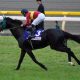 武豊が「ポスト武」不在に危機感。競馬界の未来を憂うレジェンドが昨年「新人最多勝騎手」の名を挙げた意外な理由とは
