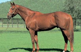 【訃報】ゴールドアリュール死す。偉大なるダート王の「弔い」を懸け頂上決戦に挑むゴールドドリームとコパノリッキーに訪れた「神の御業」とは