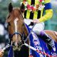 武豊&幸四郎騎手コンビに「最大の壁」となる絶好調M.デムーロ騎手!フィナーレを迎えた弟は”因縁”の舞台で「兄の仇」を打てるか