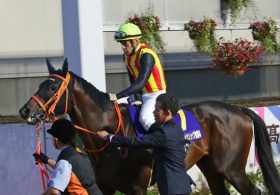 東京大賞典（G1）ゴールドドリーム「VSオメガパフューム」リベンジなるか!？ 2019最後のG1獲りを狙うルメール騎手