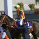 C.ルメール騎手「武さん」連発に賞賛の嵐! 年間最多215勝達成「武さんはレジェンド。僕は普通」に見える”和”の心