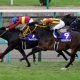 武豊が「ポスト武」不在に危機感。競馬界の未来を憂うレジェンドが昨年「新人最多勝騎手」の名を挙げた意外な理由とは