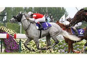 かわいいのは顔だけ！　「芦毛のツンデレ」ゴールドシップのラストランはどうなる!?