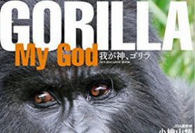 JRAの現役調教師が「ゴリラの写真集」発売も寄稿された武豊騎手のコメントが「シュール過ぎる」と話題