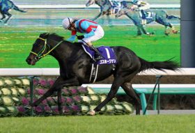 朝日杯FS（G1）優勝馬の光と闇。あの優勝馬はどこに行った？