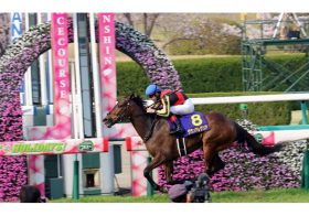 JRA阪神C（G2）グランアレグリアを上回る「情報」をキャッチ！ 「好配当」を狙える「伏兵」発見‼