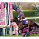 JRA高松宮記念(G1)「最有力」グランアレグリアに3つの死角! 圧倒的パフォーマンスも気になる陣営の「事情」