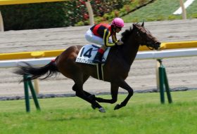 【朝日杯FS（G1）枠順確定】牝馬グランアレグリア、武豊×ファンタジストの枠は？　2歳王者決定戦の行方やいかに!?