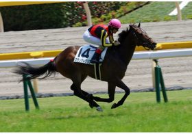 JRAグランアレグリア「桜花賞→NHKマイルC」濃厚？ 「ルメールファースト」コントラチェックとの兼ね合いも？