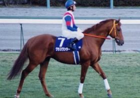 怪物グラスワンダーの血が突如拡大！ スタリオン移籍で「最後の大仕事」へ？