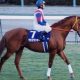 JRA種牡馬では最強世代「No.1」か!? グラスワンダー種牡馬引退で「第3」のステージへ!