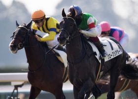 JRAダイヤモンドS（G3）はシーザリオの血が目覚める!? 関係者情報におけるユーキャンスマイルの位置付けは……